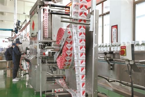 拉薩文明網技術咨詢服務指南 技術支持、常見問題與優化建議