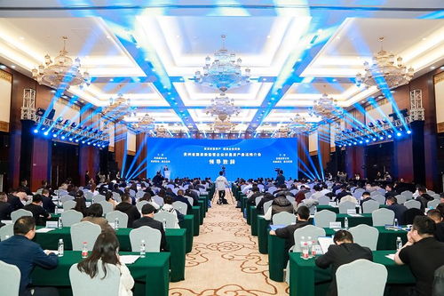 盤活存量資產，融通全國市場——貴州省國資委監管企業資產推介會在貴陽舉行